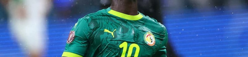 mane i senegal