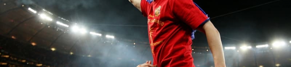 spanien vm guld 2010