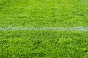 Premier League omgång 11 - Höjdpunkter