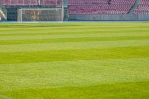 Premier League omgång 15 - Höjdpunkter