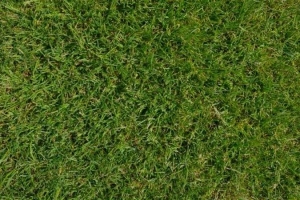 Premier League omgång 6