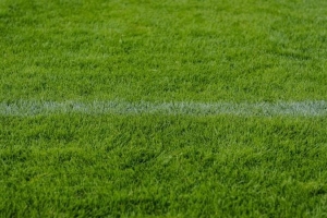 Premier League omgång 8 - Höjdpunkter