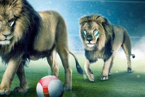 Ukraina - England Kvartsfinal EM