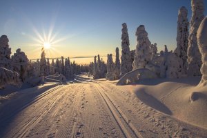 Vinterodds - odds längdskidor, skidskytte, alpint