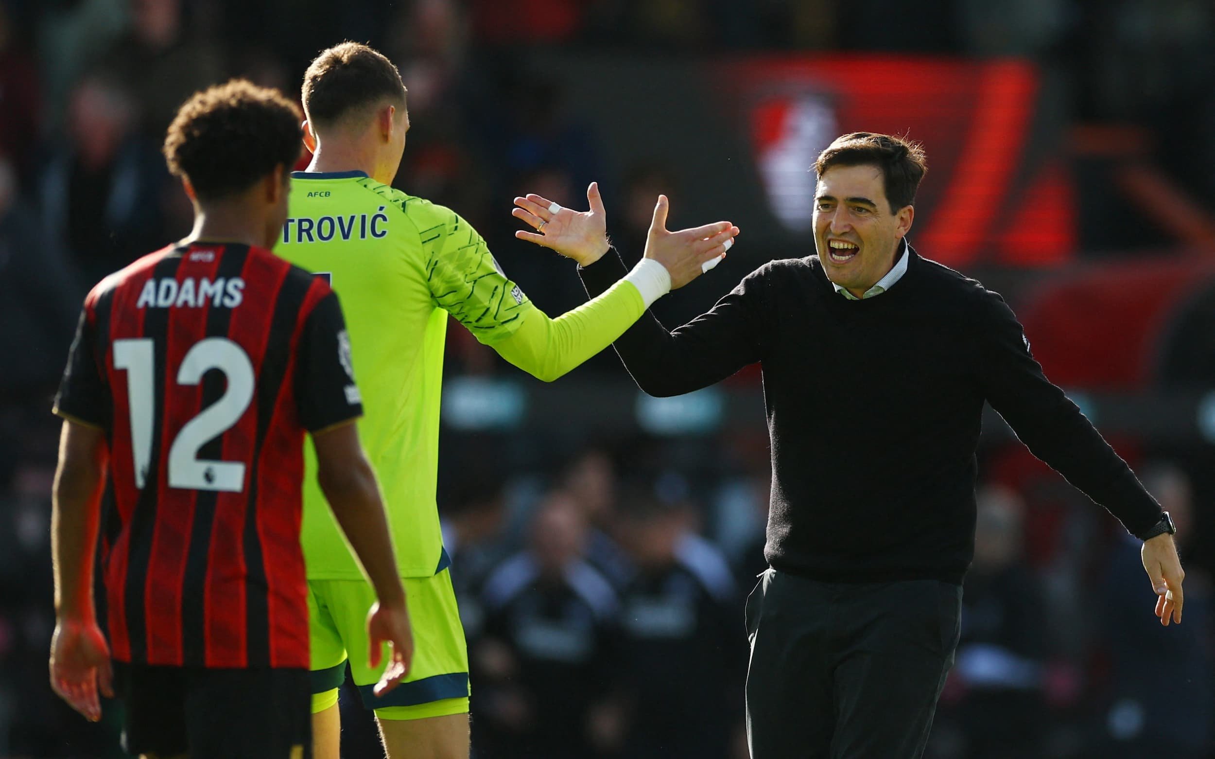 AFC Bournemouth - Fulham – Premier League
